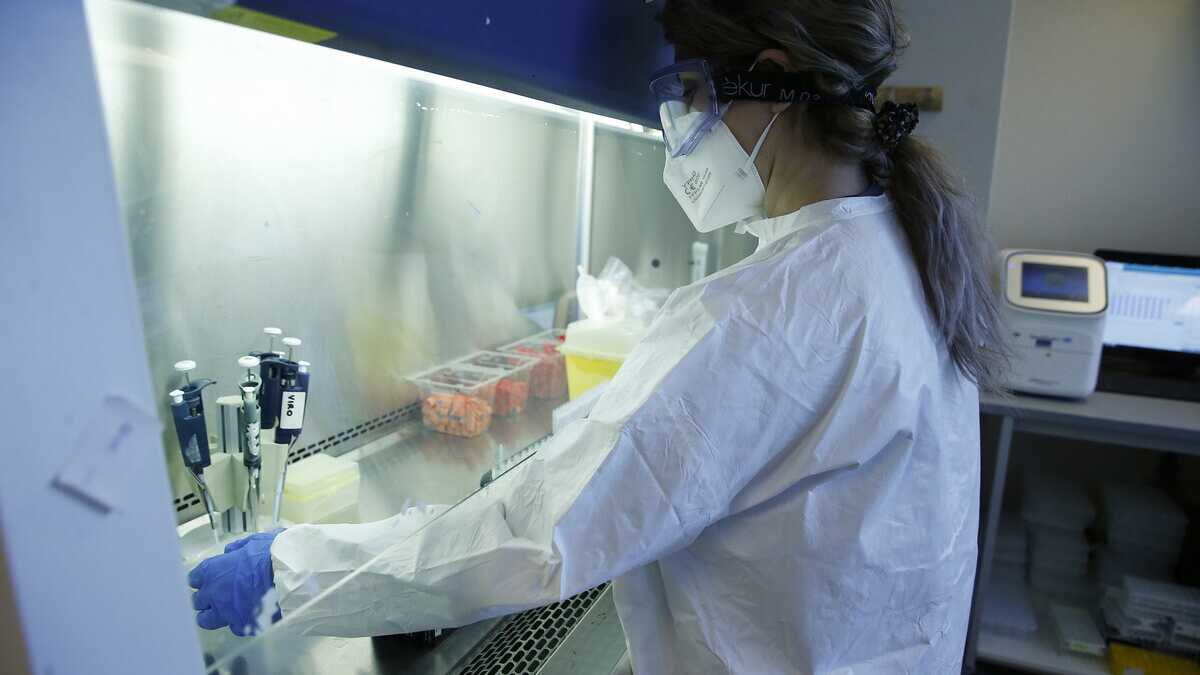 Immagine di Da Darwin alla "terapia adattiva": buone notizie per combattere i tumori