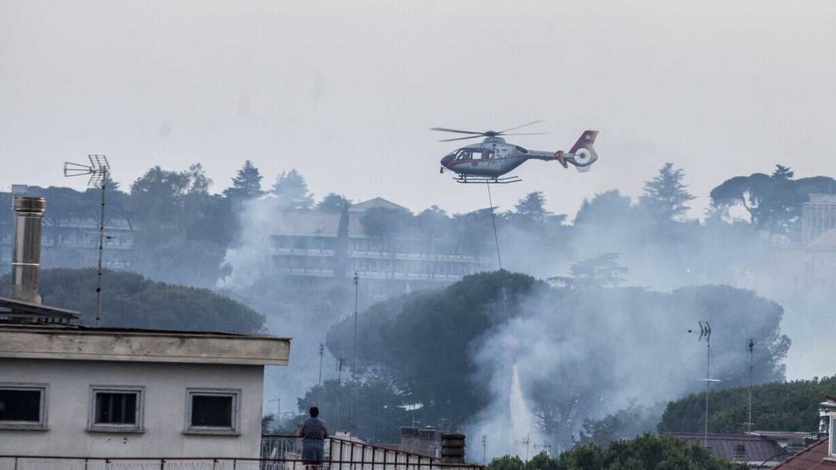 Immagine di Gli incendi? Che siano dolosi non c’è prova. L’incuria invece è certa