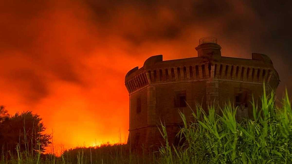 Immagine di La città eterna è diventata città della monnezza, dal Grand Tour agli studi di Gibbon