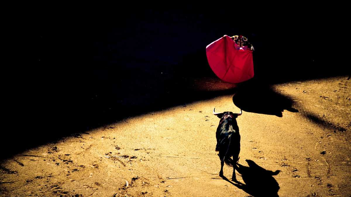 Immagine di Il leggendario matador è tornato. Il mio giorno di sangue e arena