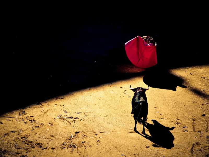 Foto di Unsplash <br />