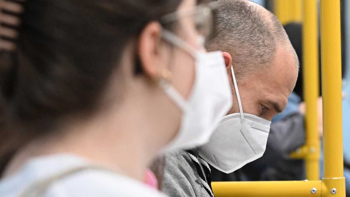 Immagine di La mascherina rende l'uomo barboncino