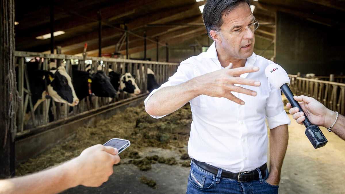 Immagine di Quel tricolore a testa in giù che fa inorridire l’Olanda
