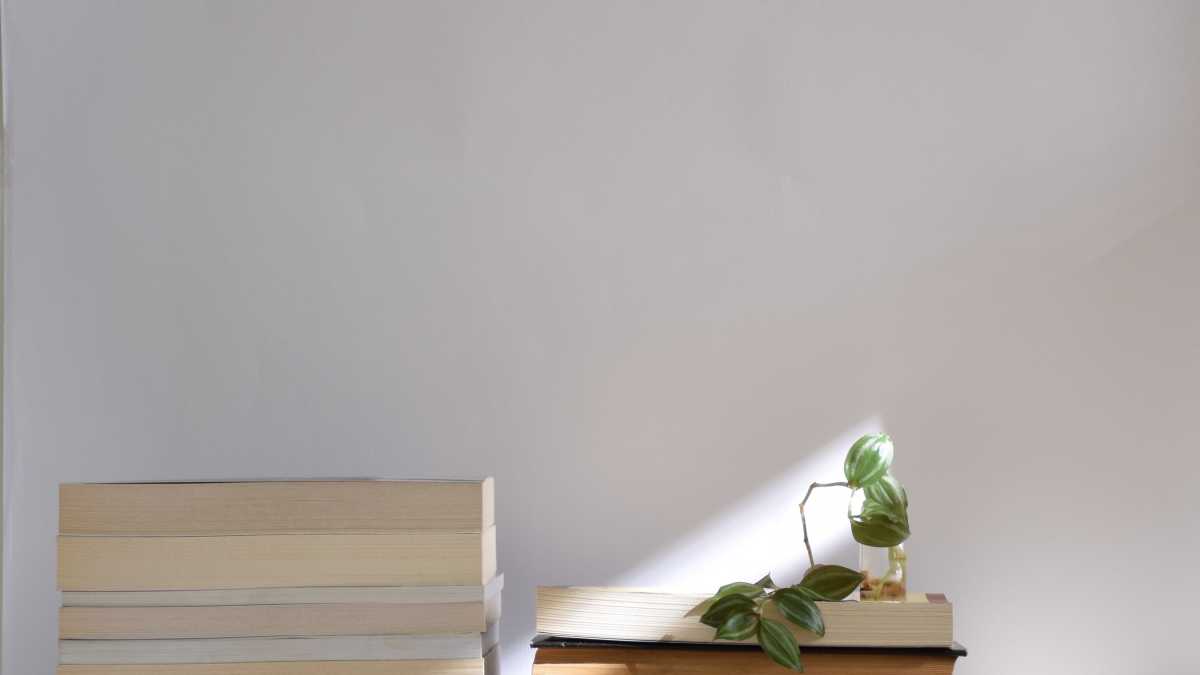 Immagine di Dialoghi improbabili in una lingua che non esiste