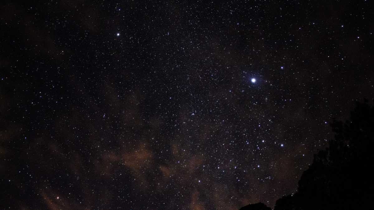 Immagine di Le opere di Pizzi Cannella: la notte come disconnessione e viaggio nella solitudine
