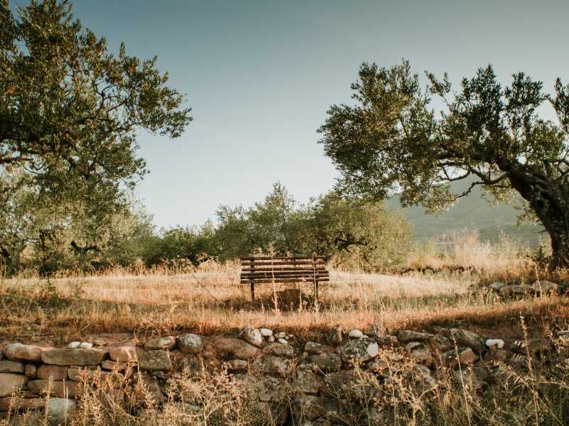 Foto di Kamil Szumotalski (via Unsplash)