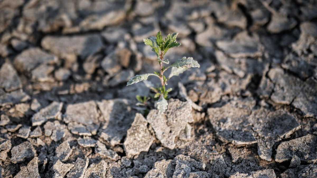 Immagine di Chiudere le fontane in città non è una soluzione alla vera crisi