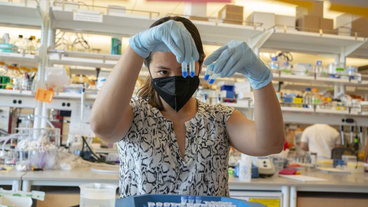 Immagine di Continua lo studio sugli effetti dei vaccini per renderli ancora più efficaci