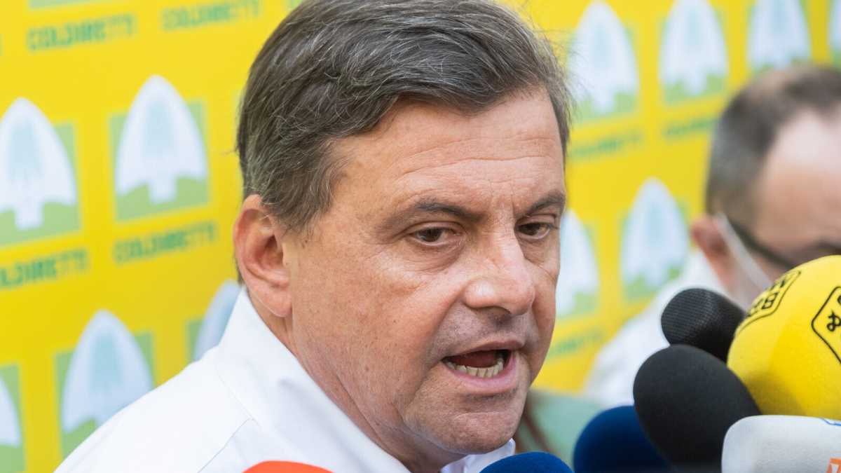 Immagine di Calenda esita ancora. Letta aspetta. Gentiloni lavora per unirli