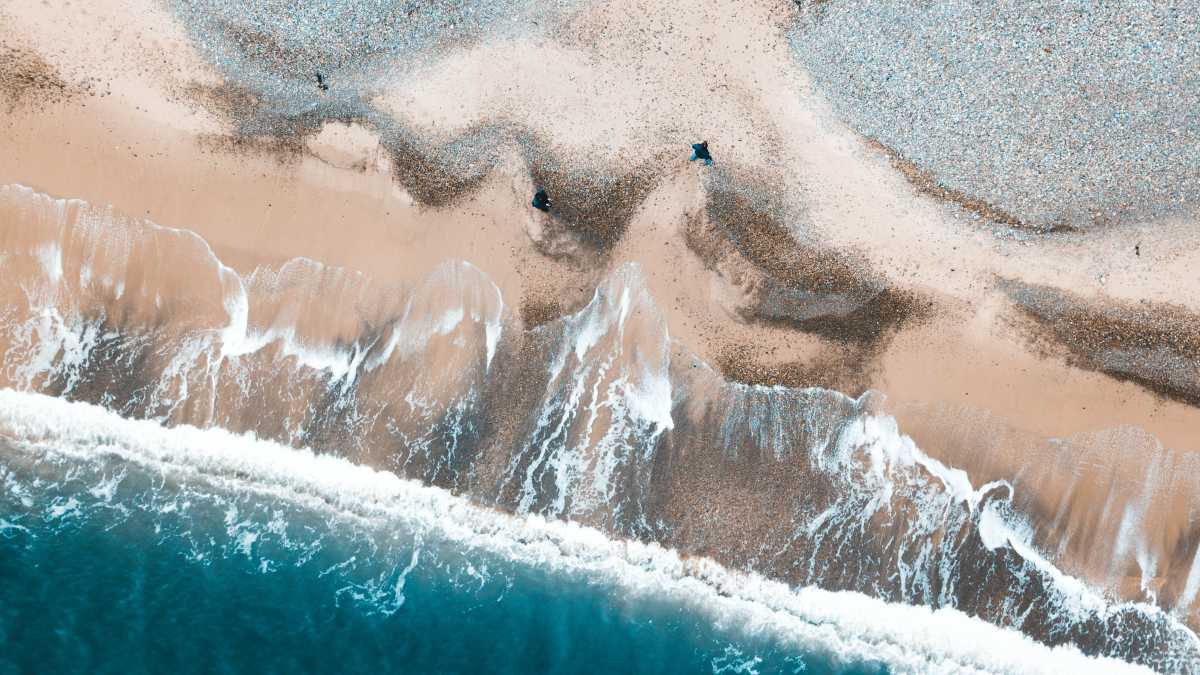 Immagine di In salvo dal tempo. L'ultimo romanzo di Lorenza Pieri