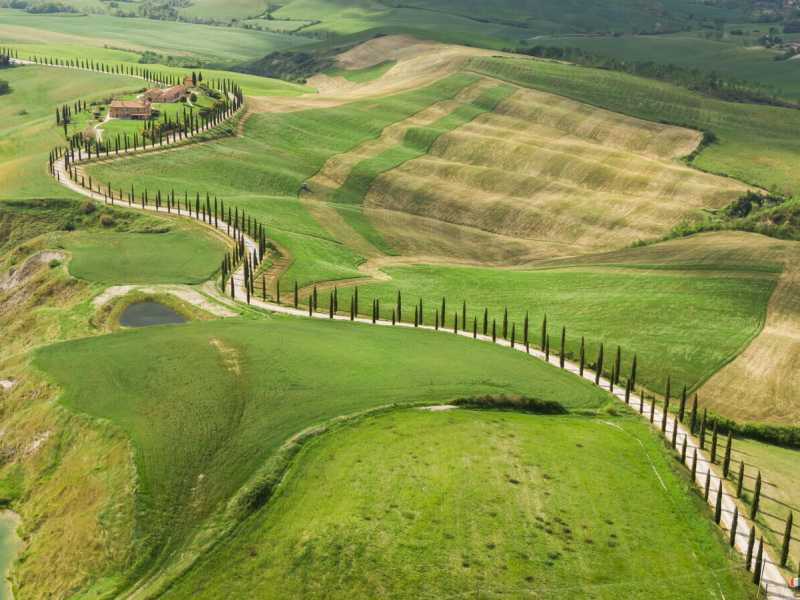 Un viale con molti cipressi a Crete Senesi nei pressi della Via Francigena (Ansa)<br />
