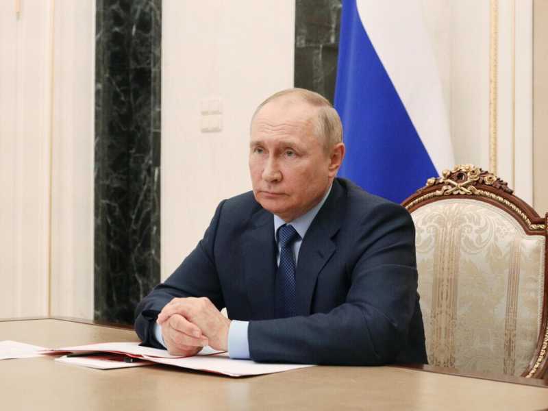 Vladimir Putin (Ansa)
