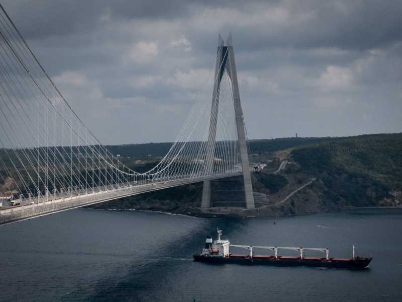 La navecargo Razoni mentre trasporta sul Bosforo il primo carico di grano ucraino fuori dal paese dallo scoppio della guerra (Getty Images)<br />