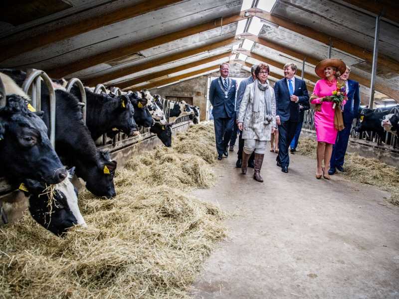 &nbsp;Il re e la regina dei Paesi Bassi visitano un allevamento a Gouderak (Foto Getty)<br />