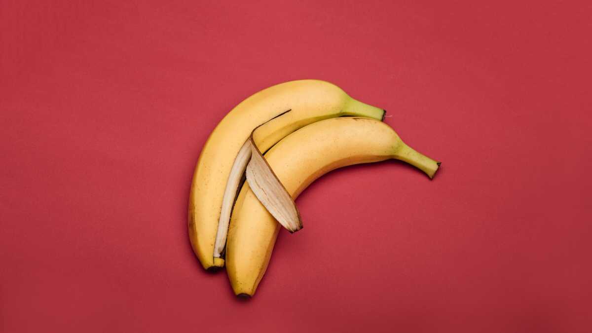 Immagine di Quando non bevo sono astemio. Castità, sesso e altre banalità