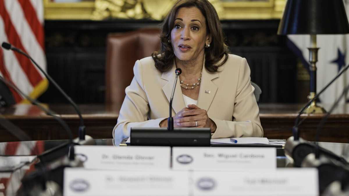 Immagine di Qualcuno ha visto Kamala Harris? Storia della vicepresidente che non piace a nessuno