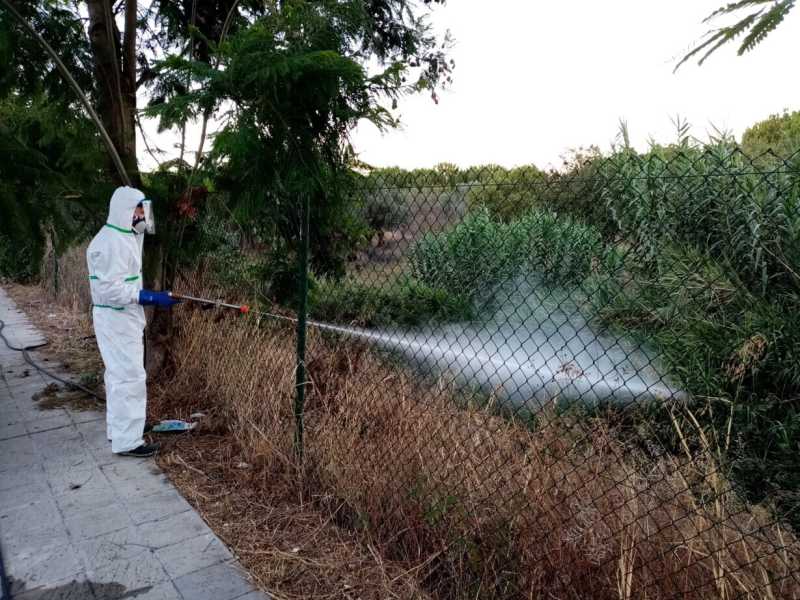 Disinfestazione contro le zanzare (foto Ansa)&nbsp;<br />