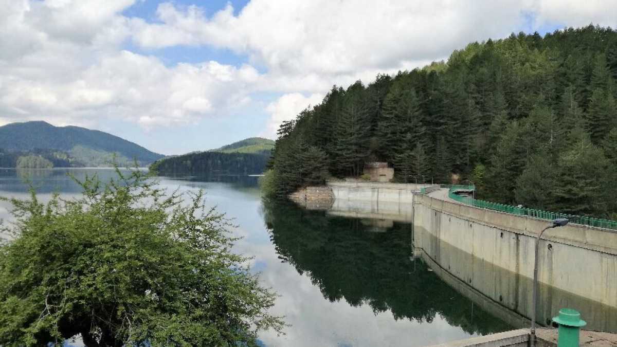 Immagine di L'Italia, il suo ambiente e il nostro adattamento