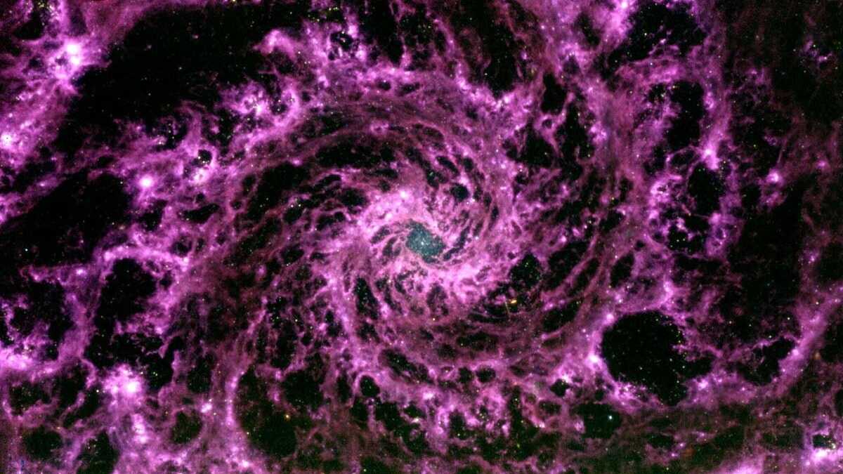 Immagine di Il telescopio James Webb rivoluziona il modo in cui vediamo noi stessi e l’universo