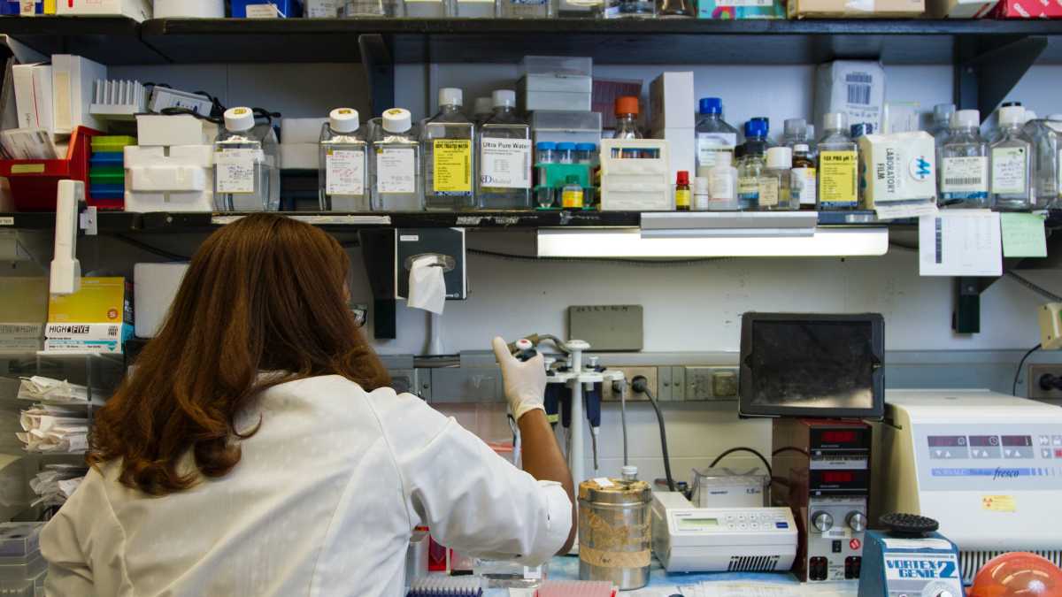 Immagine di Gli scienziati parlano di scenari possibili, non di certezze