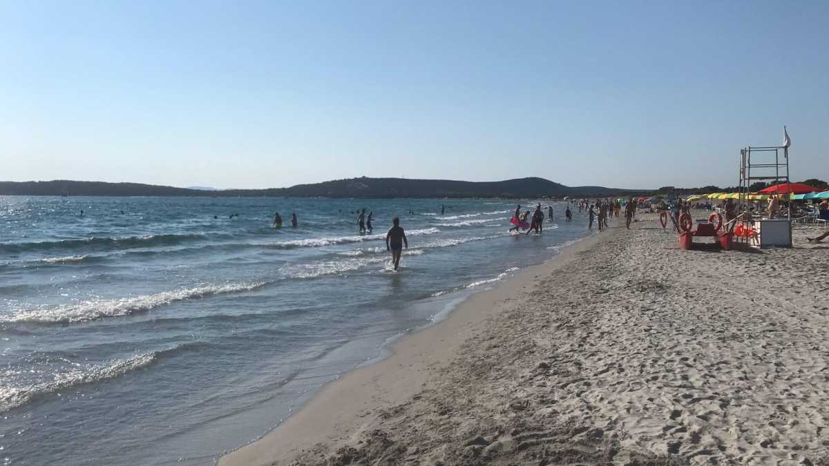 Immagine di Ombrellonista multato e balneare sovranista graziato