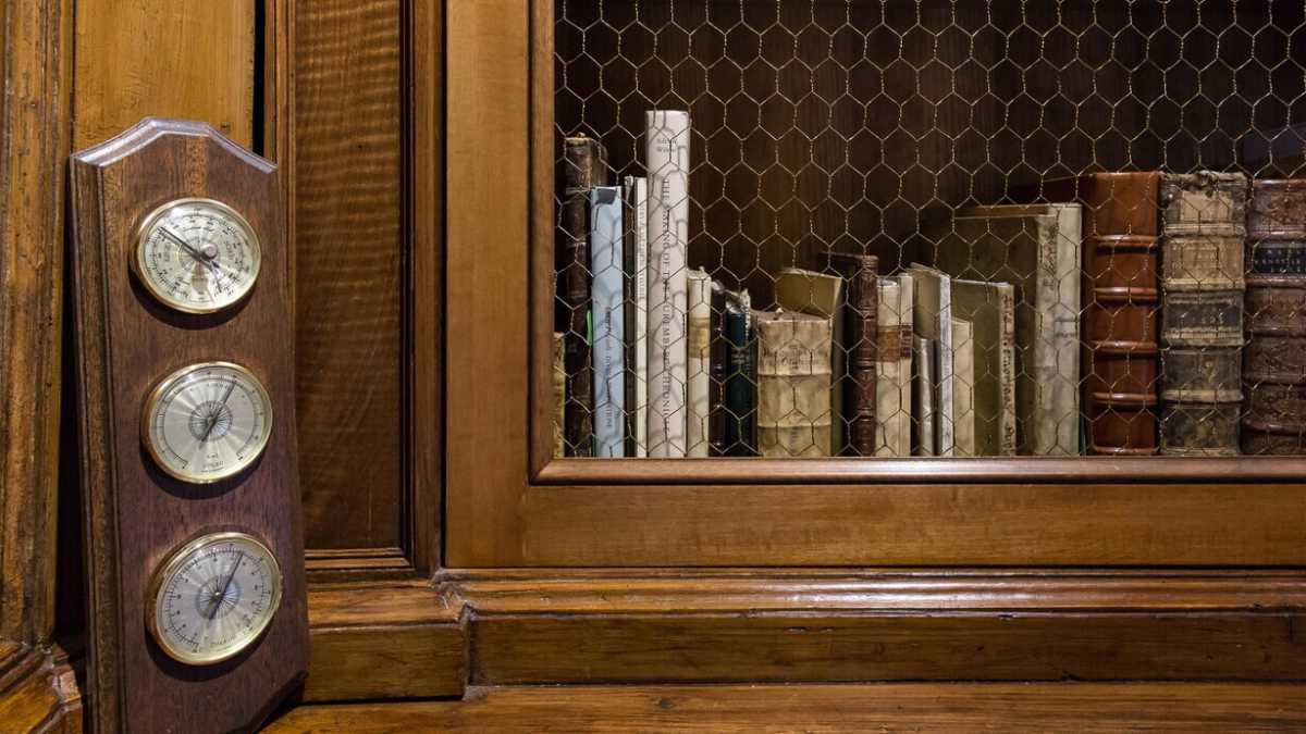 Immagine di Ogni libro è illuminato