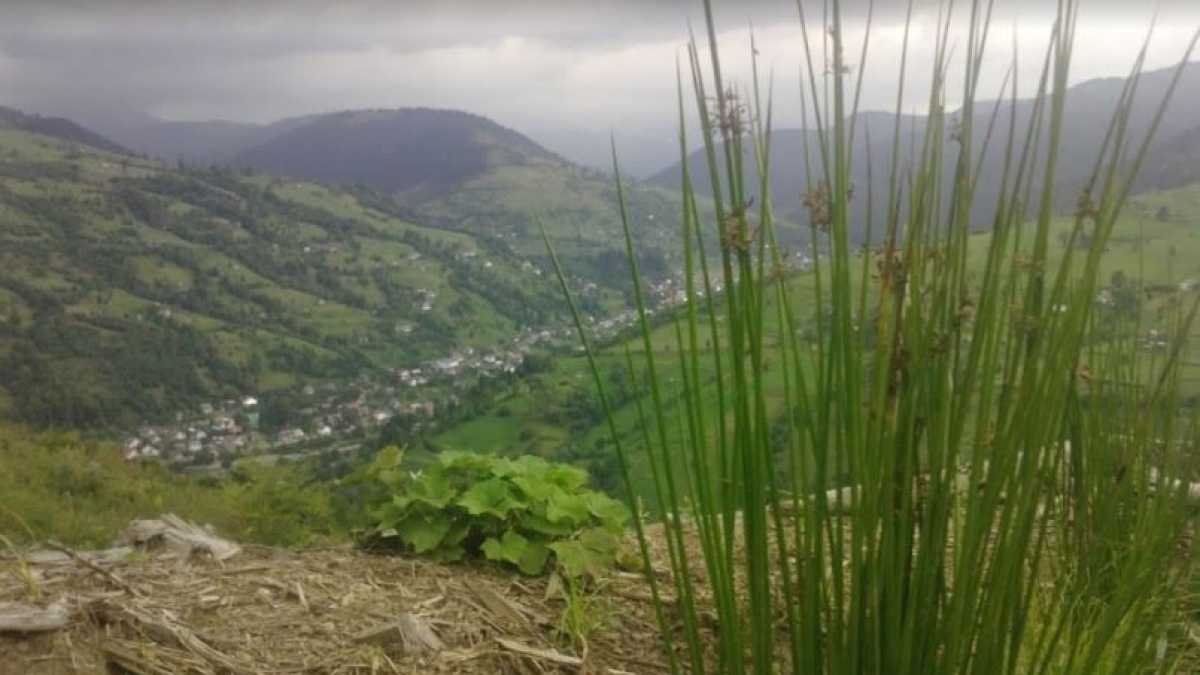 Immagine di Guerra e pace a Bogdan, il villaggio dei Carpazi ucraini