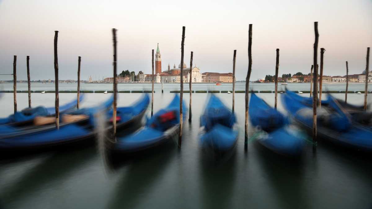 Immagine di Qui dove c’era un manicomio ora c’è la Biennale