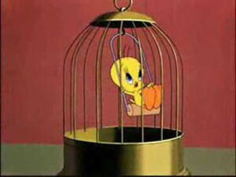 Tratto dai Looney Toons della Worner bros.