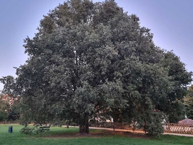 &nbsp;Foto di Camillo Langone