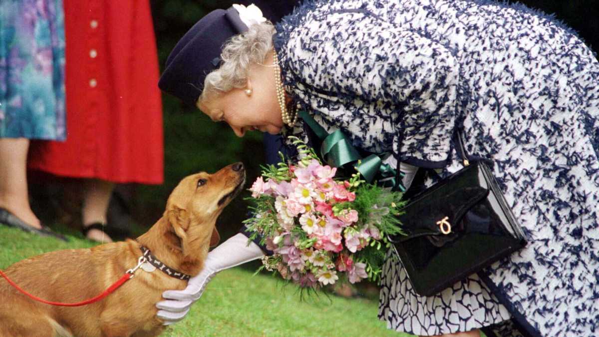 Immagine di Il gesto di eleganza di casa nostra che Elisabetta non ha mai compiuto