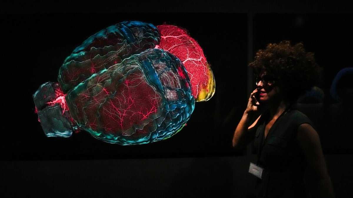 Immagine di La nostra rappresentazione della realtà limita ciò che possiamo conoscere