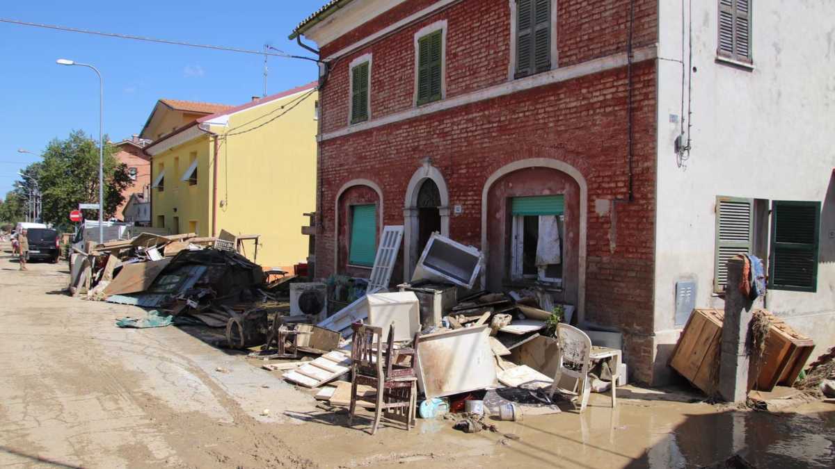 Immagine di Dal disboscamento alle alluvioni. Quanto ci costa la mancata prevenzione