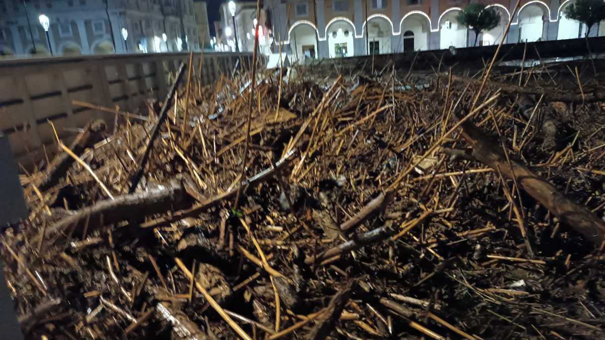 Immagine di Dopo il disastro delle Marche riecco le critiche sterili. Appunti per un ambientalismo vero