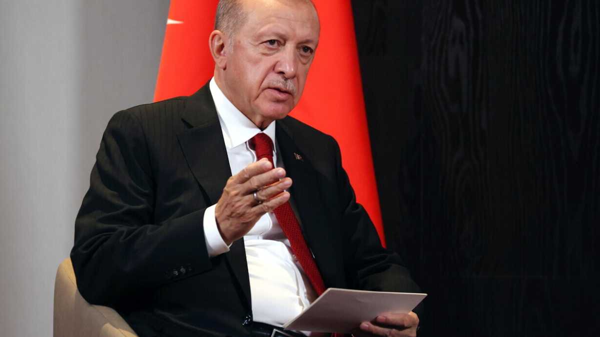 Immagine di Chi ha una moneta per Erdogan?