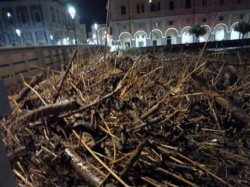 Dopo il disastro delle Marche riecco le critiche sterili. Appunti per un ambientalismo vero