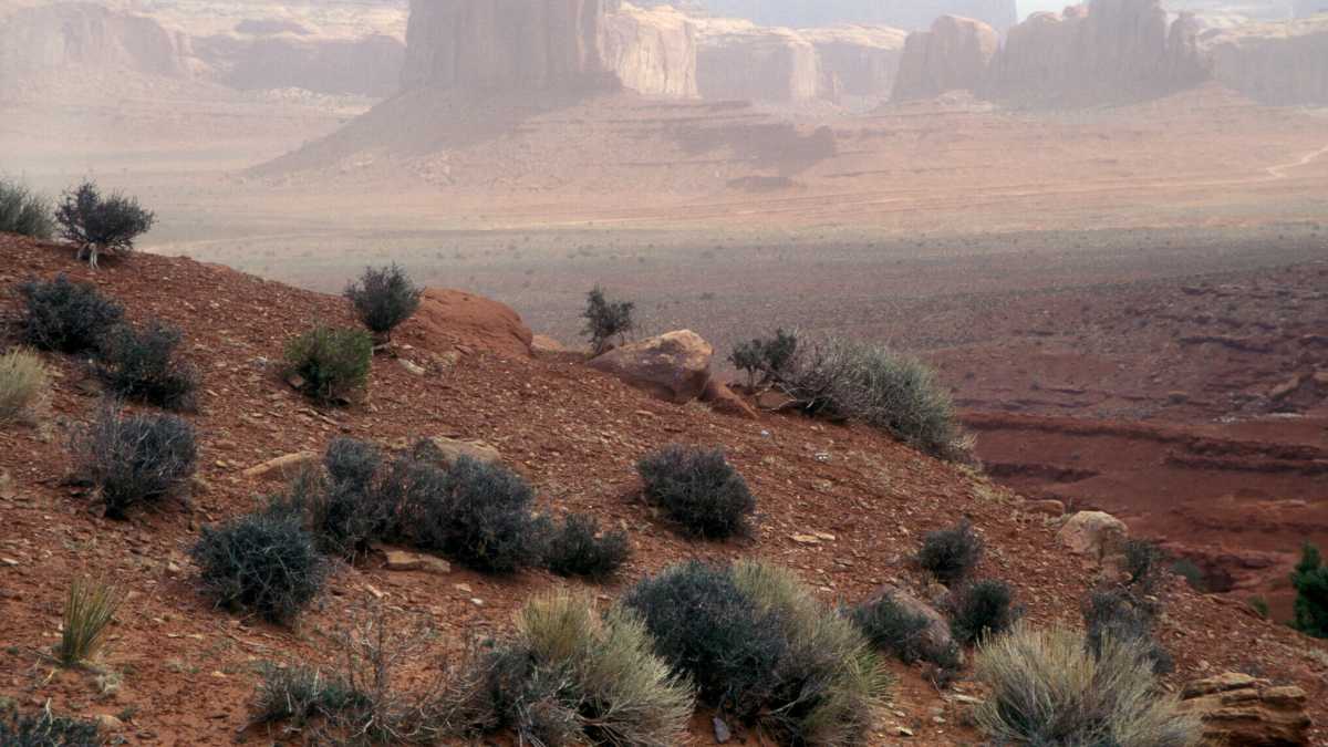 Immagine di Casa fatta di alba, un libro spirituale che racconta lo sradicamento