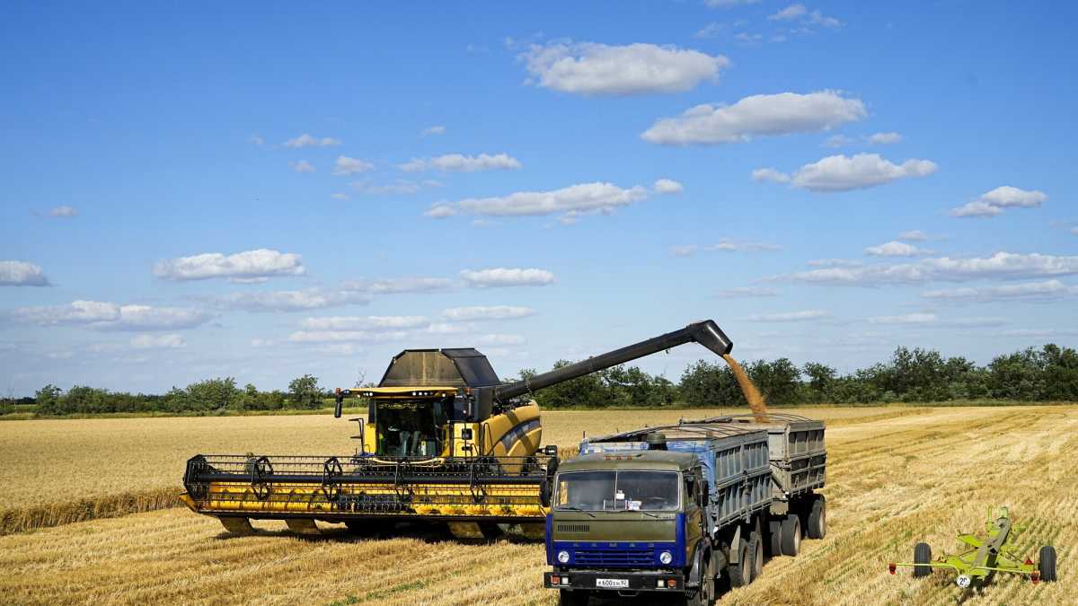 Immagine di La politica alimentare italiana è schiava delle fake news ambientaliste