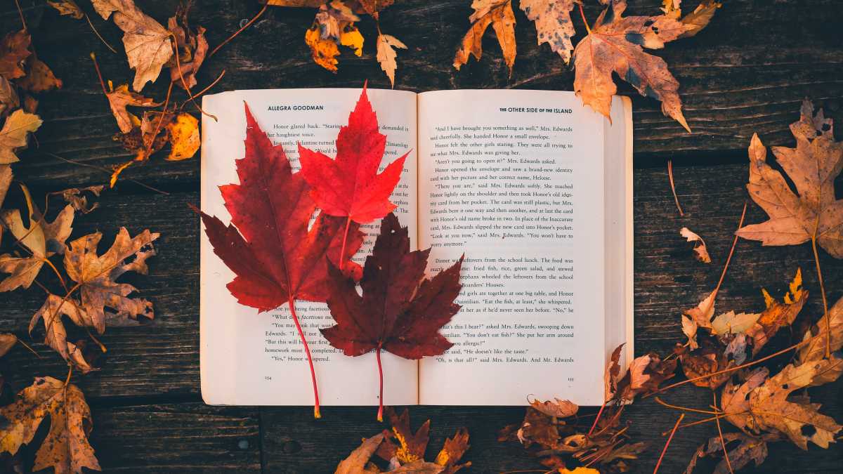 Immagine di Letture non da ombrellone. Cosa scegliere in libreria per il rientro dalle vacanze