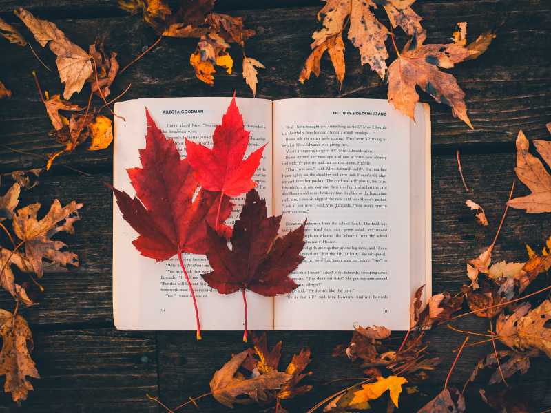 Letture non da ombrellone. Cosa scegliere in libreria per il rientro dalle vacanze