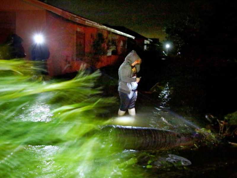 Douglas R. Clifford/Tampa Bay Times via AP <br />