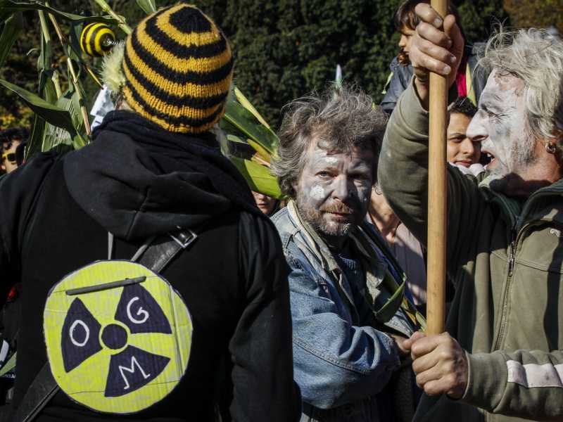 Attivisti No-Ogm in Belgio nel 2013 (Epa/Thierry Roge) <br />