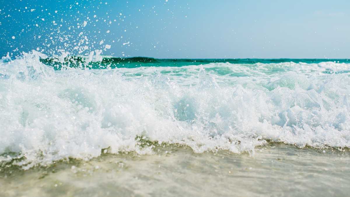 Immagine di Alle origini della vita. Le prime proteine mai apparse sul nostro pianeta provenivano dal mare