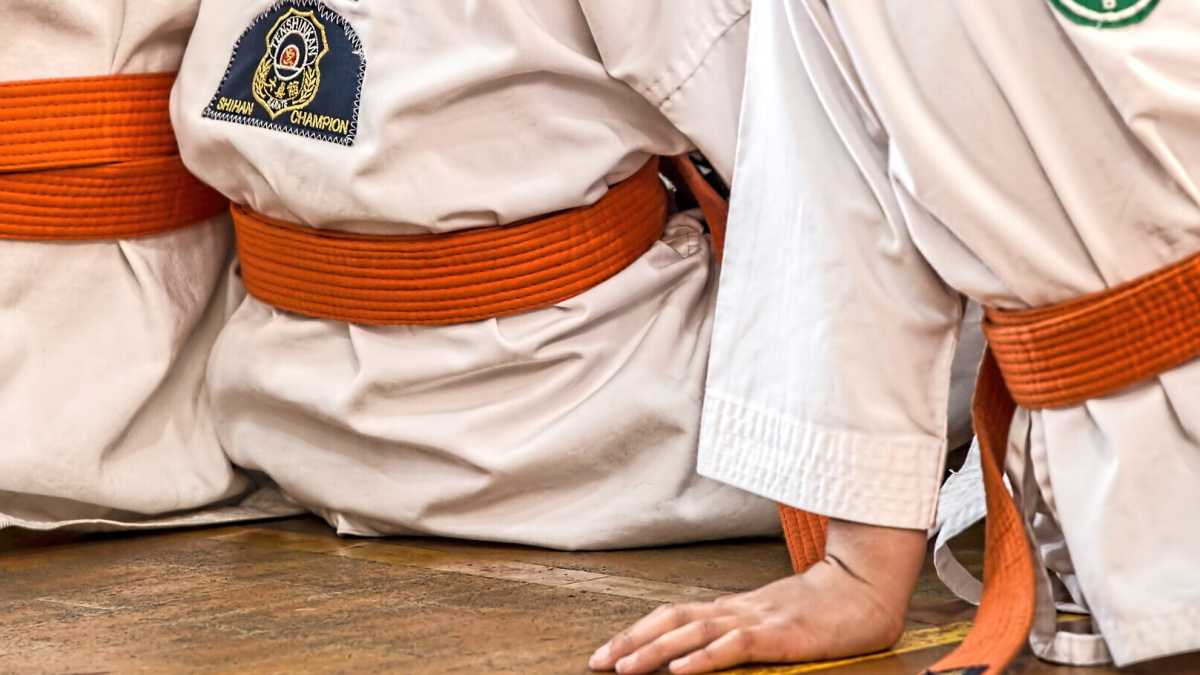 Immagine di Chi ha ucciso Willy l’avrebbe fatto comunque, anche senza conoscere il karate