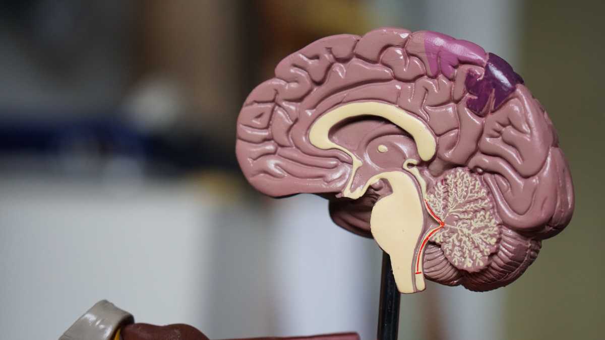 Immagine di Non solo Dna o esperienza. E se fosse il caso a determinare i processi della nostra mente?