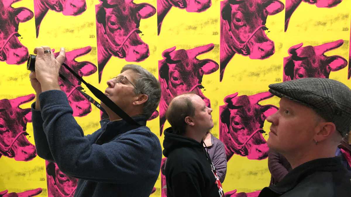 Immagine di La rigenerazione urbana all’Eur: apre La Vaccheria, un nuovo spazio culturale