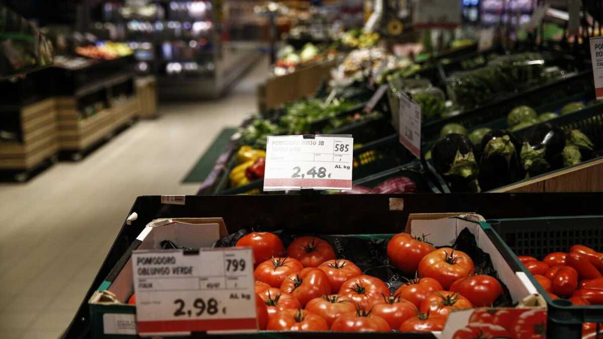 Immagine di Portare il mondo del cibo a Rho, altro che sovranismo alimentare