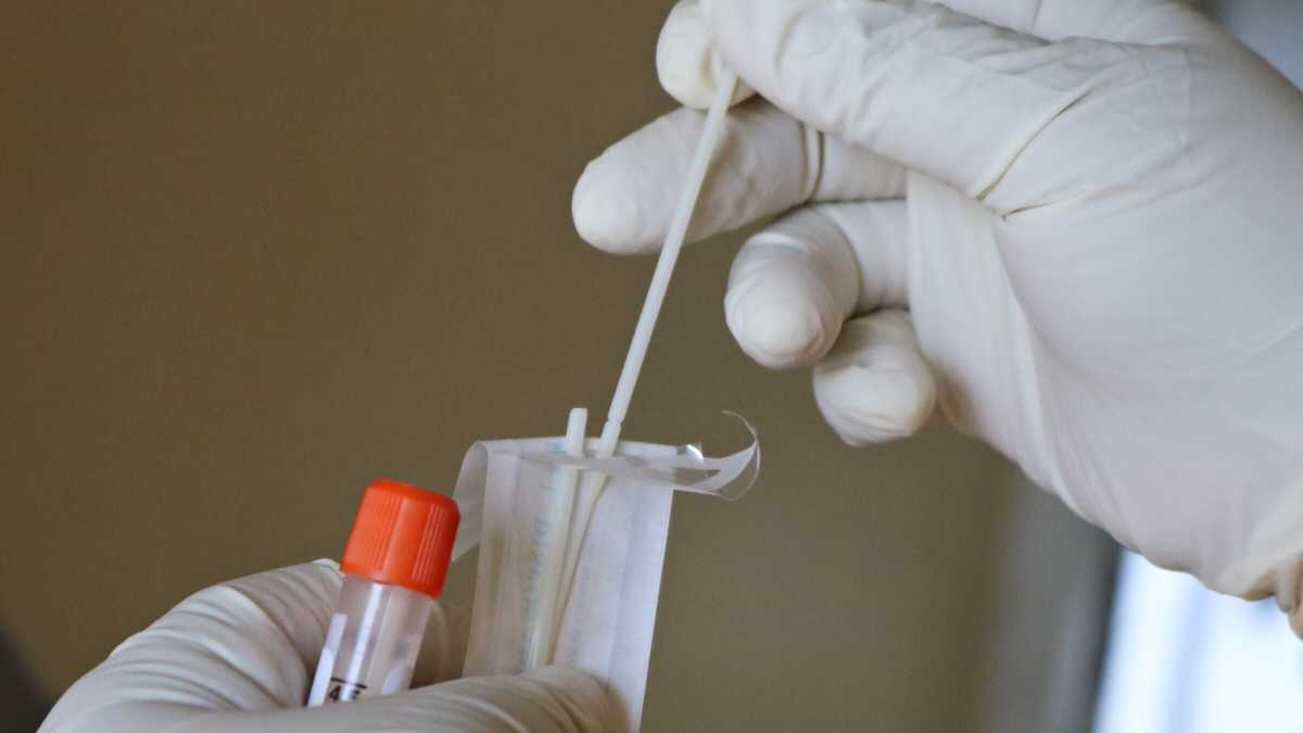 Immagine di Le domande senza risposta sulla variante di Covid-19 creata in laboratorio a Boston