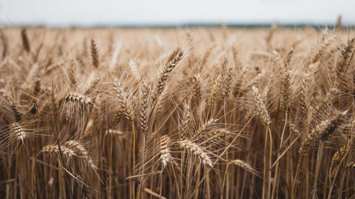 Immagine di Ora i sindaci assenteisti offendono i lavoratori