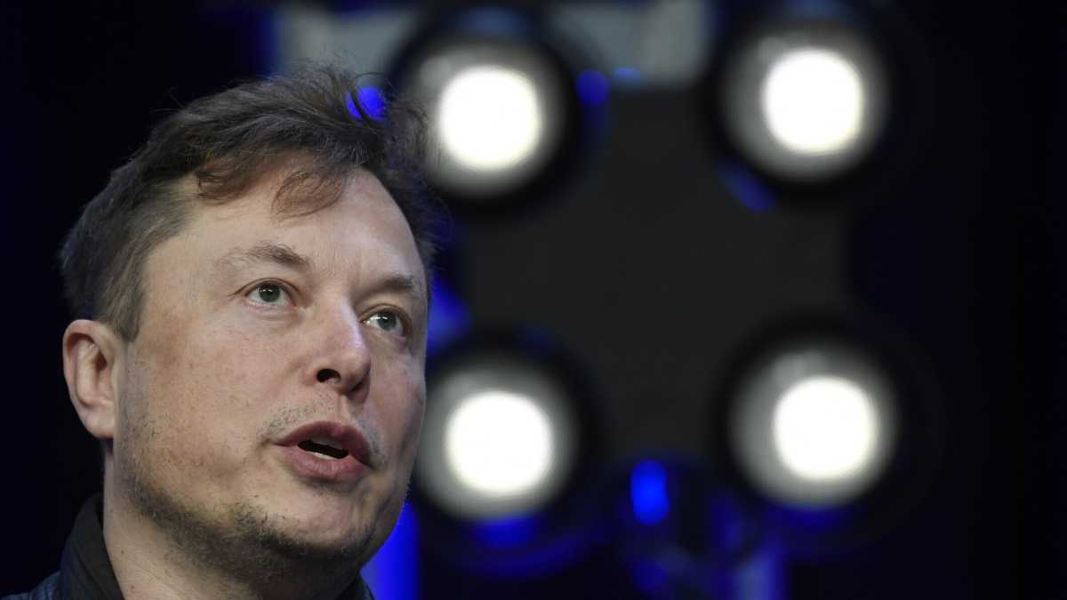 Immagine di Musk e la difesa della libertà: il rischio di un via libera per l'estremismo sovranista